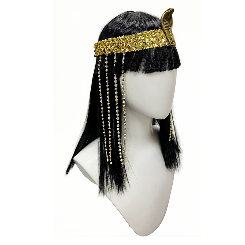 Black Straight Synthetic Wig S - Egypt Cosplay Anime review and price